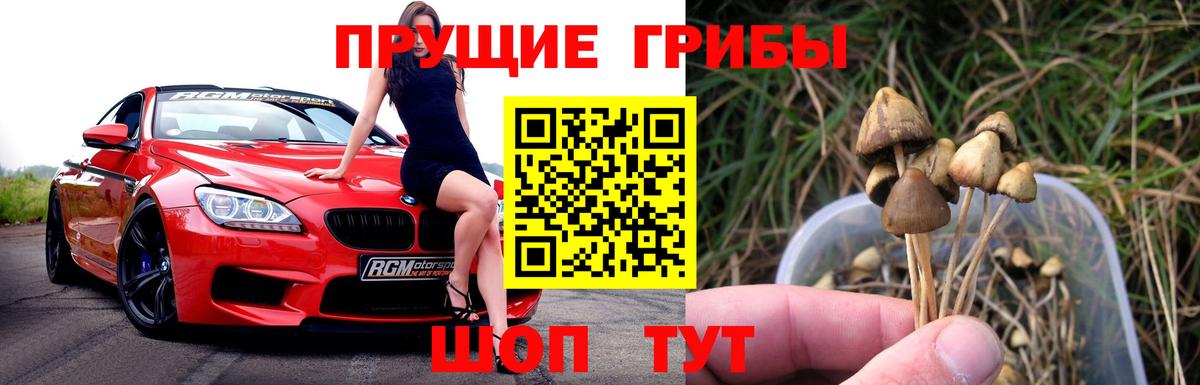 Рязань  Псилоцибиновые грибы мицелий  наркота  Вход с VPN 
